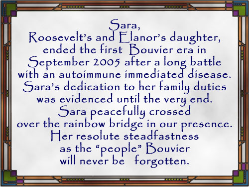 Sara's Epitaph